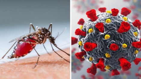 Tiền Giang ghi nhận ca sốt xuất huyết tử vong đầu tiên trong năm 2024 (02/10/2024)