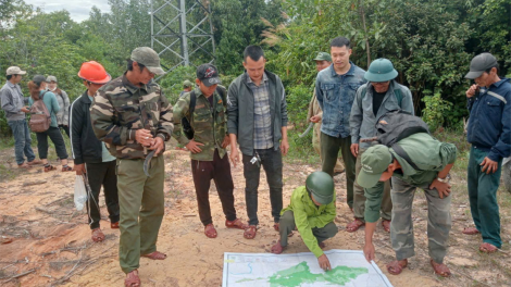 Quảng Nam: Xanh lại những cánh rừng (15/10/2024)