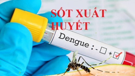 CDC Hà Nội cập nhật tình hình dịch sốt xuất huyết, sởi, viêm màng não (01/10/2024)