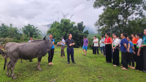 "Chìa khoá" để người dân Mường Nhé xoá nghèo bền vững (9/10/2024)