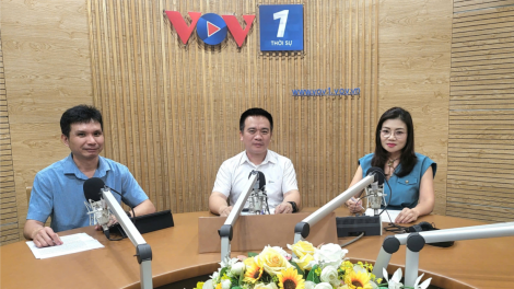 Tăng cường tiết kiệm điện: Giải pháp góp phần tăng trưởng xanh, phát triển bền vững (24/10/2024)