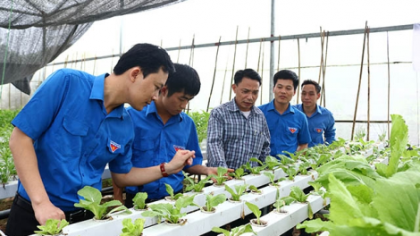 Thanh niên Khmer khởi nghiệp, xây dựng mô hình kinh tế hiệu quả (9/11/2024)