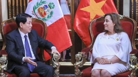 Chủ tịch nước Lương Cường Hội đàm với Tổng thống Cộng hòa Peru Dina Boluarte (14/11/2024)