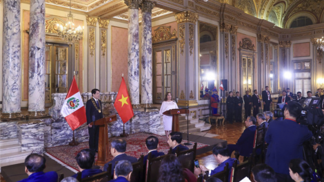 Chủ tịch nước Lương Cường và Tổng thống Peru gặp gỡ báo chí (14/11/2024)