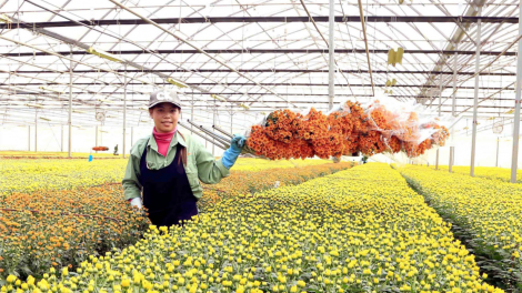 Chuyển đổi số: Bước tiến vững chắc cho nông sản Việt (15/11/2024)