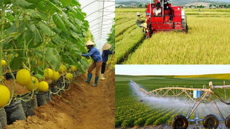 Dự án đa dạng hóa sinh kế, phát triển mô hình giảm nghèo (11/11/2024)