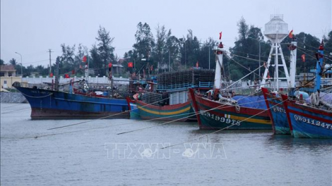 Ngư dân Quảng Bình làm giàu từ biển (27/11/2024)