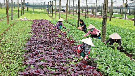 THỜI SỰ 18H CHIỀU 26/11/2024: Quốc hội thông qua Luật Thuế giá trị gia tăng (sửa đổi), quy định mức doanh thu không chịu thuế giá trị gia tăng lên 200 triệu đồng/năm; đánh thuế 5% đối với phân bón.