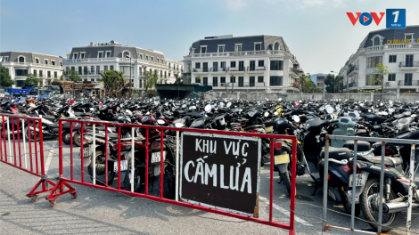 Quảng Ninh: Quá tải các bãi trông giữ xe vi phạm giao thông (06/11/2024)