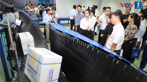 THỜI SỰ 21H30 ĐÊM 24/11/2024: Khai trương nhà máy chiếu xạ nông sản 1.000 tấn sản phẩm/ngày đêm, tại tỉnh Hậu Giang