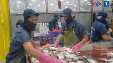 Xuất khẩu thủy sản của Việt Nam sẽ đạt trên 10 tỷ USD (27/11/2024)