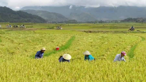 Đổi thay trên những bản làng dân tộc thiểu số ở Lai Châu (15/11/2024)
