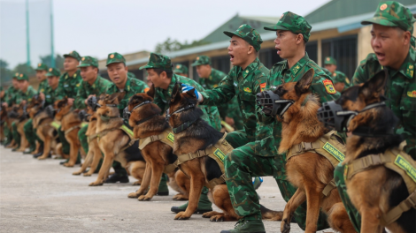 Đội quân khuyển đặc biệt sẽ ghi dấu ấn tại Khai mạc Triển lãm Quốc phòng Quốc tế Việt Nam 2024 (30/11/2024)