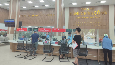 Quảng Ninh: Nhiều hồ sơ liên quan đến đất trong tình trạng "treo" (22/11/2024)