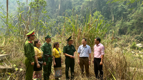 Giải bài toán giảm nghèo cho đồng bào dân tộc thiểu số Tây Nguyên (14/11/2024)