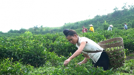 Bắc Giang xây dựng nông thôn mới vùng dân tộc thiểu số (19/11/2024)