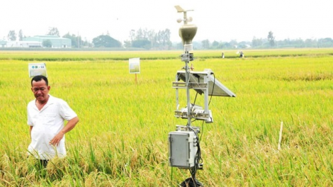 Ứng dụng công nghệ viễn thám trong dự báo sản xuất nông nghiệp tại khu vực ĐBSCL (01/11/2024)