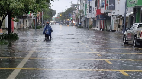 THỜI SỰ 12H TRƯA 25/11/2024: Mưa lớn tại Thừa Thiên Huế gây ngập lụt nhiều nơi, ngành giáo dục địa phương cho học sinh nghỉ học trên toàn tỉnh