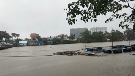 THỜI SỰ 18H CHIỀU 25/11/2024: Mưa lũ gây ngập sâu nhiều khu vực ở tỉnh Thừa Thiên Huế và Quảng Nam. Hàng trăm người đã phải di dời khẩn cấp