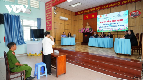 Bản tin tiếp cận pháp luật (22/11/2024)