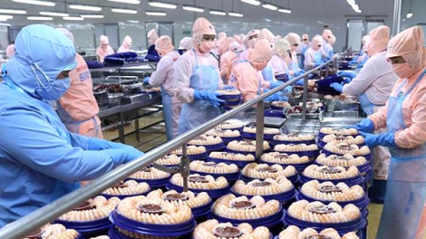 Xuất khẩu thủy sản trên đà phục hồi hướng đến mục tiêu 10 tỷ đô la Mỹ (10/11/2024)