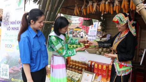 Đẩy mạnh tiêu thụ nông sản miền núi trên sàn thương mại điện tử (05/11/2024)