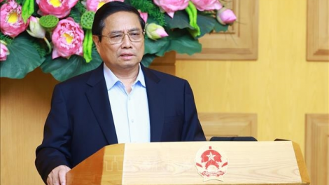 THỜI SỰ 18H CHIỀU 02/11/2024: Thủ tướng Phạm Minh Chính chủ trì Phiên họp Uỷ ban Quốc gia đổi mới giáo dục và đào tạo