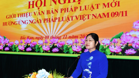 Xây dựng xã, phường đạt chuẩn tiếp cận pháp luật (18/11/2024)