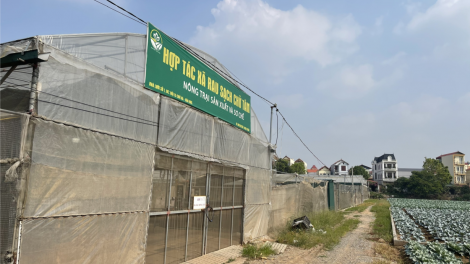 Ngày hội đại đoàn kết toàn dân tại xã nông thôn mới kiểu mẫu (16/11/2024)