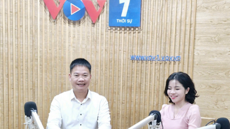 Xây dựng xã, phường, thị trấn sạch ma túy (19/11/2024)
