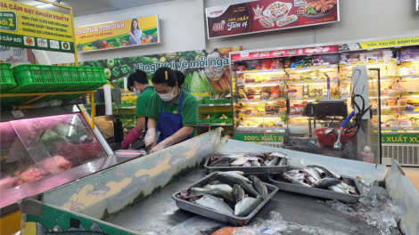THỜI SỰ 21H30 ĐÊM 26/12/2024: Công ty Cổ phầnThương Mại Bách Hoá Xanh, tỉnh Đắc Lắc, thu hồi toàn bộ giá đỗ được cho là ngâm chất cấm từ nhà cung cấp.