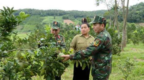 Đoàn 326 - bà đỡ giúp dân vùng biên giới thoát nghèo (20/12/2024)