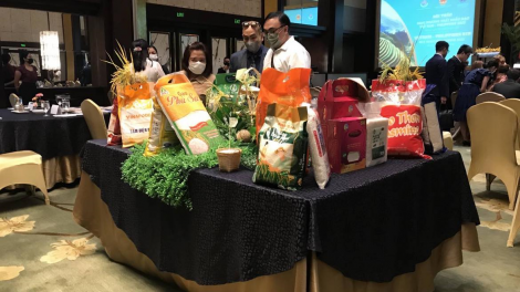 Kim ngạch xuất nhập khẩu Việt Nam và Philippine lần đầu tiên vượt mức 8 tỷ USD (28/12/2024)
