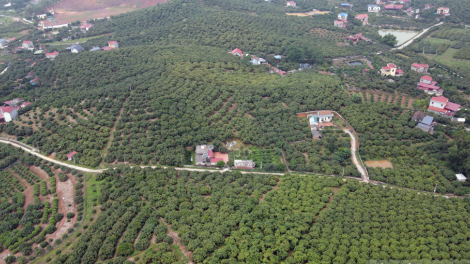 Xã Phúc Hoà (Tân Yên, Bắc Giang) đạt chuẩn nông thôn mới kiểu mẫu về phát triển kinh tế (09/12/2024)