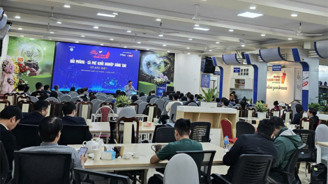 Hải Phòng: Phát triển hệ sinh thái khởi nghiệp sáng tạo xứng tầm Trung tâm Vùng gắn kết quốc tế (10/12/2024)