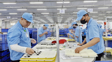 Cuối năm, nhiều doanh nghiệp Đà Nẵng kín đơn hàng (22/12/2024)