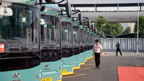TPHCM khai trương 17 tuyến xe buýt điện kết nối với metro 1 (20/12/2024)