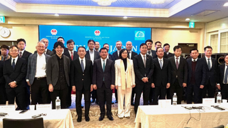 Diễn đàn Doanh nghiệp Việt Nam - Nhật Bản năm 2024: Cơ hội lớn để hai nước tăng cường kết nối kinh tế, thương mại, đầu tư (19/12/2024)