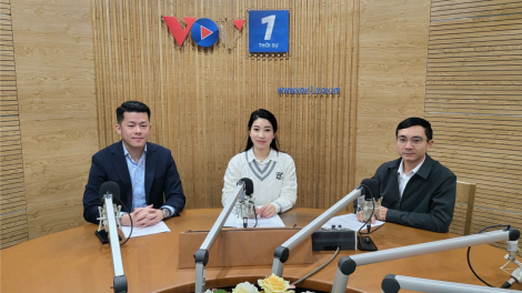 Khởi nghiệp sáng tạo: Một năm nhìn lại và những rào cản cần khơi thông (15/12/2024)