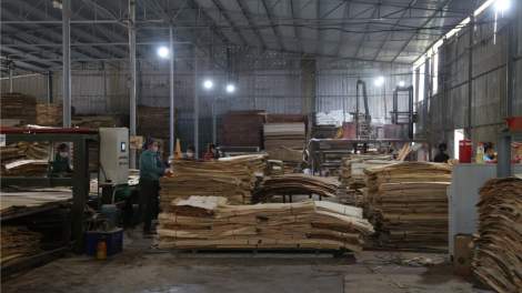 Bắc Kạn: Công nghiệp chế biến gỗ tăng trưởng khá nhưng vẫn thiếu bền vững (1/12/2024)