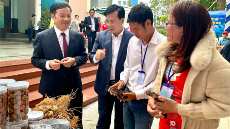 Vì sao nông dân Đắk Nông khó tiếp cận vốn ngân hàng? (28/12/2024)