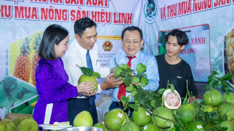 Người có uy tín nêu gương giúp bà con thoát nghèo ở miền núi Khánh Hòa (23/12/2024)