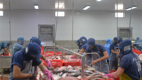 Nhiều cơ hội cho thủy sản Việt Nam tại thị trường Halal (13/12/2024)