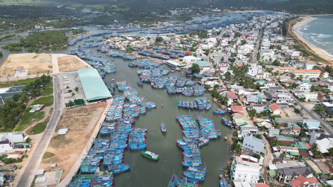 Loạt bài: Vì nghề cá bền vững và hội nhập Bài 2: Số hóa và cấu trúc lại nghề cá  (26/12/2025)