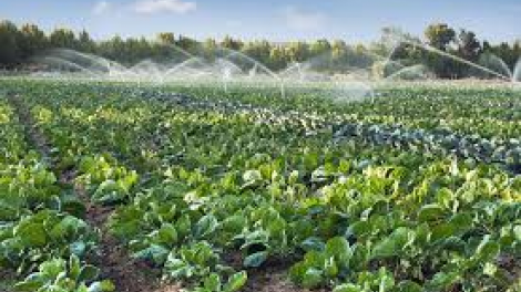 Sử dụng nước tiết kiệm giải pháp hữu ích cho sản xuất trong biến đổi khí hậu (21/12/2024)