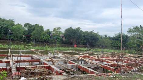 Tiền Giang: Báo động tình trạng xây nhà, cơ sở kinh doanh trái phép ven kênh 28 (14/12/2024)