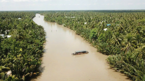 Xứ dừa khẩn trương ứng phó với hạn, mặn mùa khô (30/12/2024)