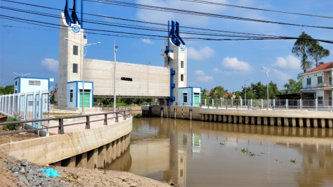 Tiền Giang: Chủ động phòng chống triều cường, nước mặn rằm tháng Giêng (17/02/2024)