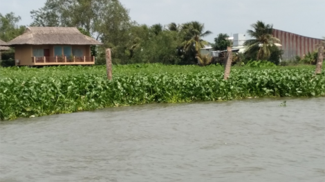 Tiền Giang: Gần 80 cá nhân thuê đất bãi bồi đã “hết hạn” nhiều năm khó giải quyết (20/02/2024)