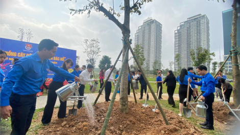 Tháng Thanh niên: Tuổi trẻ cả nước hướng tới các hoạt động tình nguyện vì cộng đồng (29/2/2024)